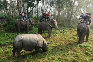 Chitwan National Park